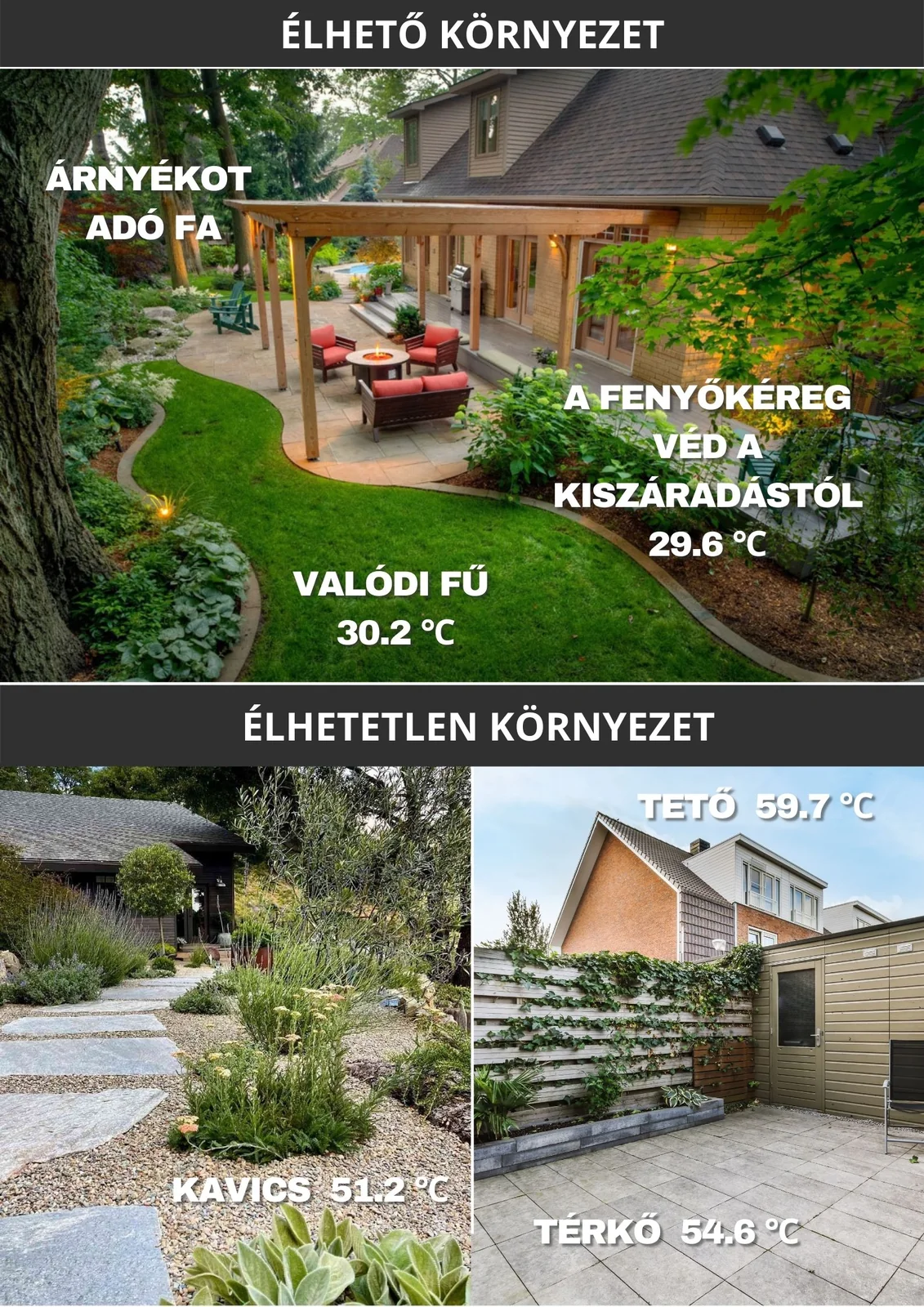 Warum Kiefernrinde und Rindenmulch im Garten verwenden?