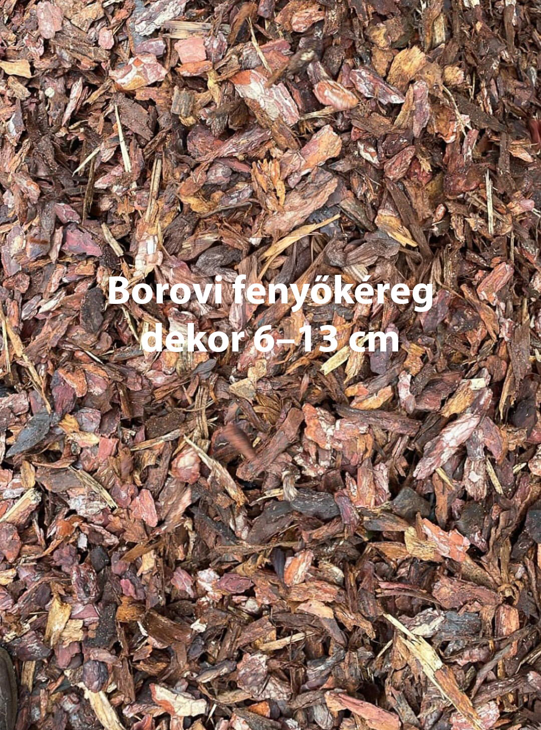 Kiefernrinde Dekor, 6–13 cm