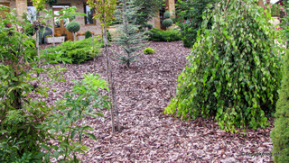 Rindenmulch