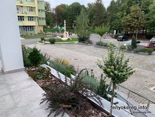 Fichtenmulch und Pappelmulch