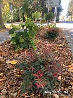 Fichtenmulch und Pappelmulch