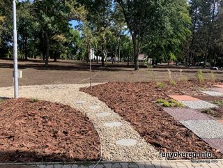 Pine and Aspen Mulch