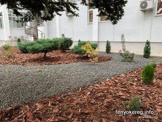 Pine and Aspen Mulch