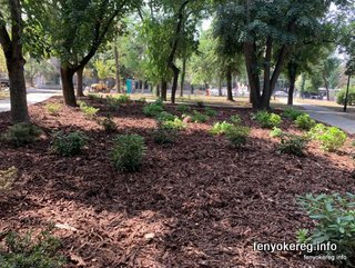 Pine and Aspen Mulch