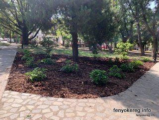 Pine and Aspen Mulch