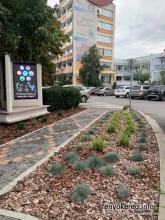 Pine and Aspen Mulch