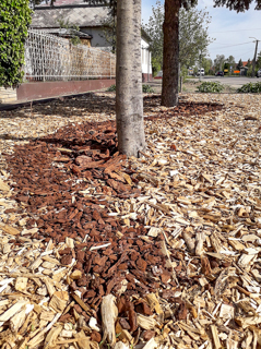 Pine Mulch and Aspen Mulch