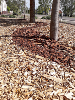 Pine Mulch and Aspen Mulch