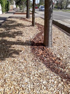 Pine Mulch and Aspen Mulch