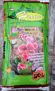 potting soil